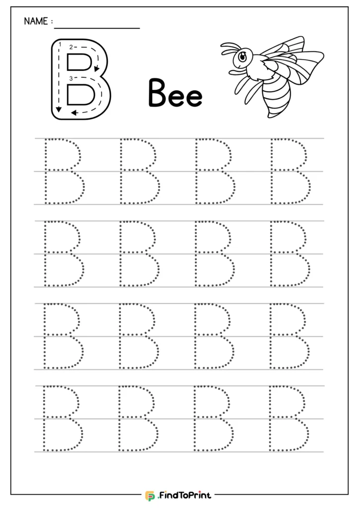 Letter B tracing worksheet with bee illustration and dotted practice lines.