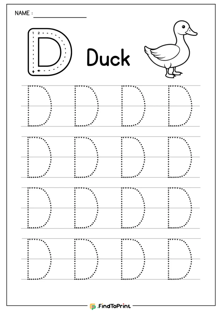 Letter D tracing worksheet with duck illustration and dotted uppercase rows.